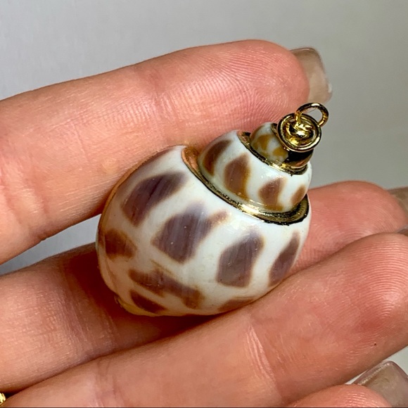 ⭐️ Gold Plated Shell ⭐️ - Picture 4 of 8